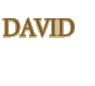 David - the second book
