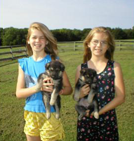 puppies (1998)